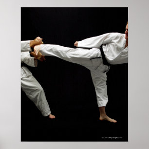 2つを小競合する2 Blackbelts ポスター