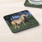 2つを立てているペンキの馬 コースター (左側)