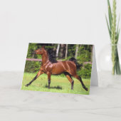 2つを走っているアラビアの馬 カード (正面)