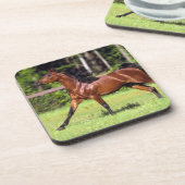 2つを走っているアラビアの馬 コースター (左側)