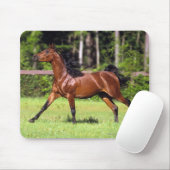2つを走っているアラビアの馬 マウスパッド (マウス)