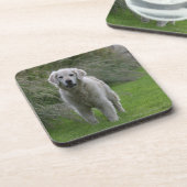 2つを走っているゴールデン・リトリーバー コースター (左側)