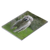 2つを走っているゴールデン・リトリーバー ノートブック (左側)