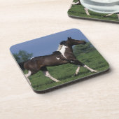 2つを走っているペンキの馬 コースター (左側)