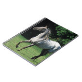 2つを走っているAppaloosaの馬 ノートブック (左側)