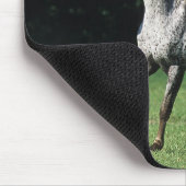 2つを走っているAppaloosaの馬 マウスパッド (コーナー)