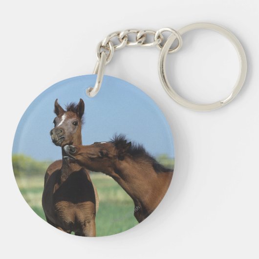 2つを遊んでいる子馬 キーホルダー (裏面)