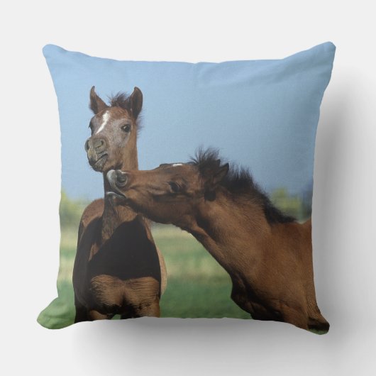 2つを遊んでいる子馬 クッション (正面)