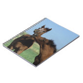 2つを遊んでいる子馬 ノートブック (左側)