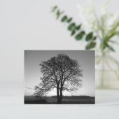 2つ一つ:フォークした木 ポストカード (スタンド正面)