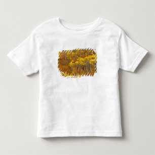 2でピークの秋の色のポプラの林 トドラーTシャツ