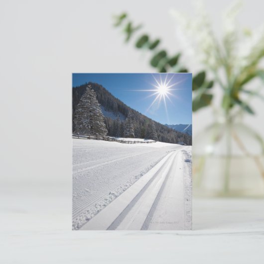 2で準備された新し走いクロスカントリースキー ポストカード (スタンド正面)