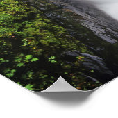 2のオリンピック国立公園内のソルダック秋 ポスター (角)