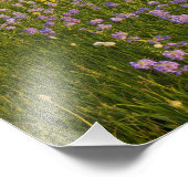 2のペンステモンの野の草地 フォトプリント            (角)