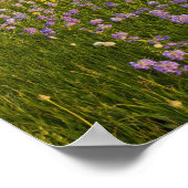 2のペンステモンの野の草地 ポスター (角)