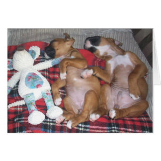 「2の会社および3のBetter