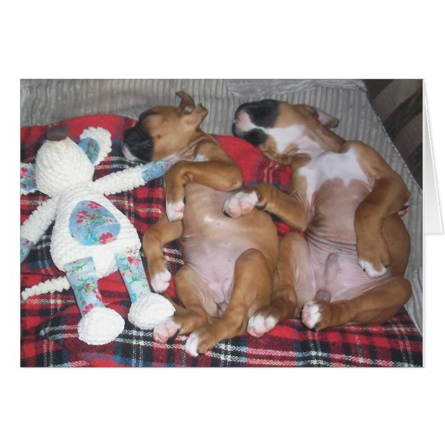 「2の会社および3のBetter (正面横)