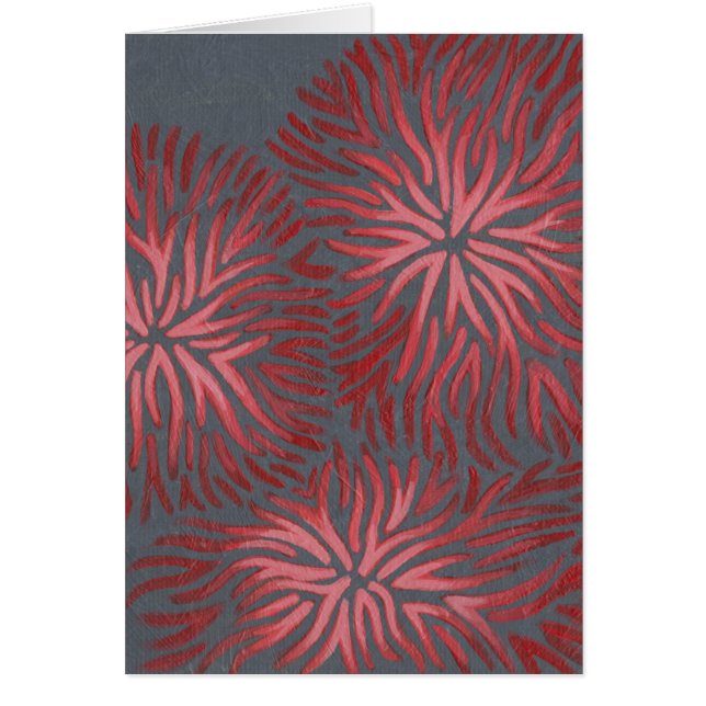 2アップDianthus II (正面)