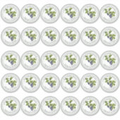 2インチのレギュラーメイソン瓶のふたビニールブルーベリーゼリー シール (正面)