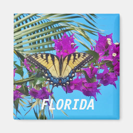 2インチ角磁石 マグネット