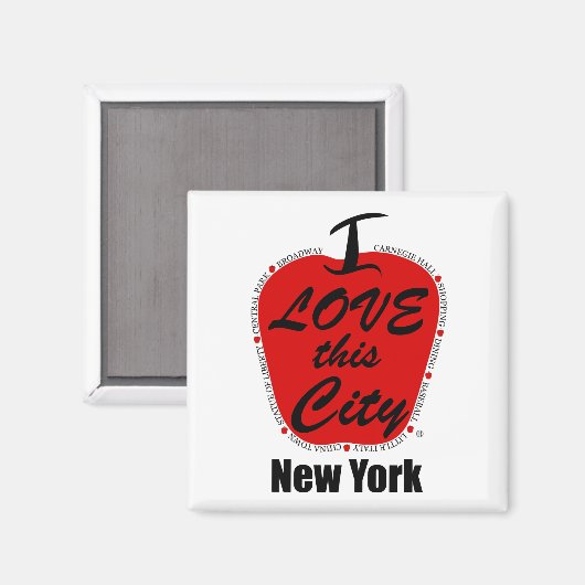 2インチ角磁石 マグネット (正面/裏面)