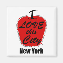 2インチ角磁石 マグネット