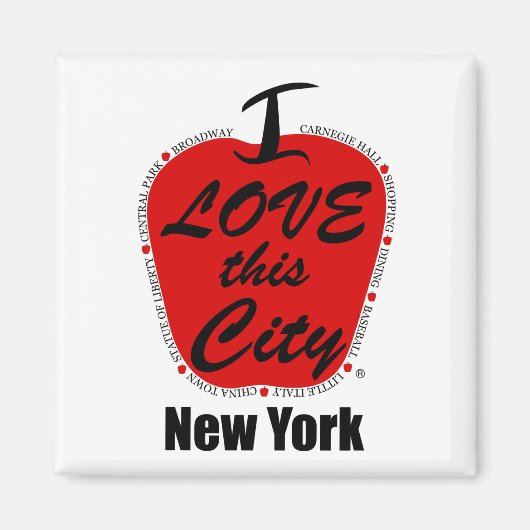 2インチ角磁石 マグネット (正面)