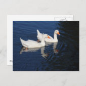 2エンデンゲーゼ ポストカード (正面/裏面)