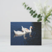 2エンデンゲーゼ ポストカード (スタンド正面)