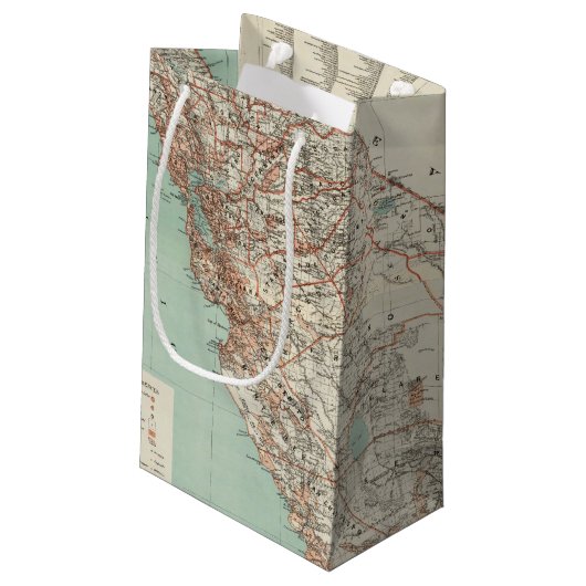 2カリフォルニア州 スモールペーパーバッグ (裏面アングル)