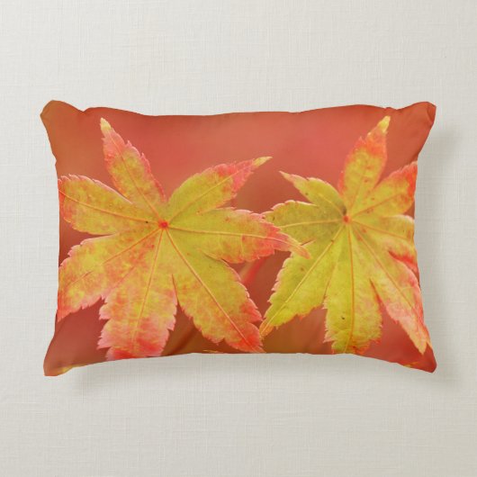 2カ日本のエデ葉ル アクセントクッション (正面)