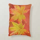 2カ日本のエデ葉ル アクセントクッション (裏面(縦))