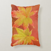 2カ日本のエデ葉ル アクセントクッション (正面(垂直))