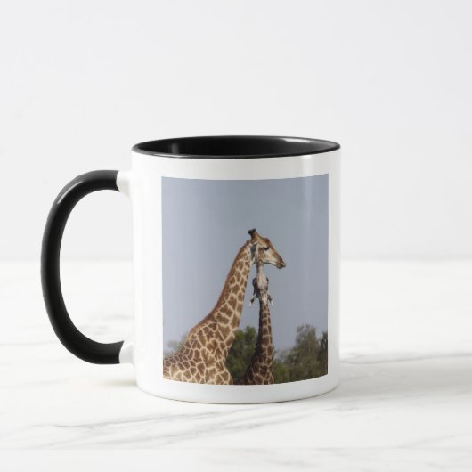 2キリン、Krugerの国立公園、南アフリカ共和国 マグカップ (左)