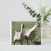 2ギザギザの鳴き声 ポストカード (スタンド正面)