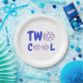 2クール人の花火 ペーパープレート (パーティー)