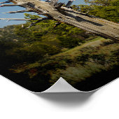 2コリント4:16黒縁ど ポスター (角)