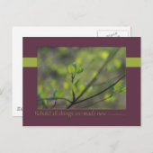 2コリント5:17すべての物が新しく造られるのを見よ ポストカード (正面/裏面)