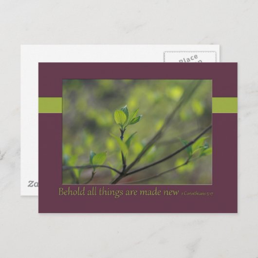 2コリント5:17すべての物が新しく造られるのを見よ ポストカード (正面/裏面)