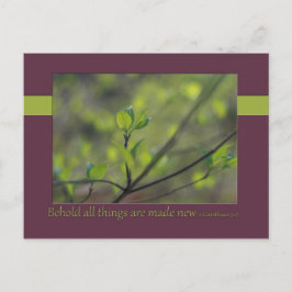 2コリント5:17すべての物が新しく造られるのを見よ ポストカード