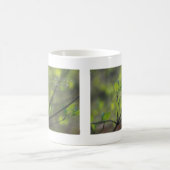 2コリント5:17新しいすべてのものを見なさい コーヒーマグカップ (中央)