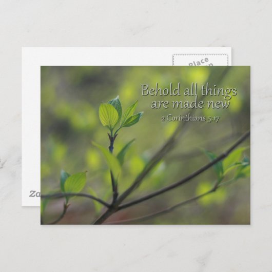 2コリント5:17新しいすべてのものを見なさい ポストカード (正面/裏面)