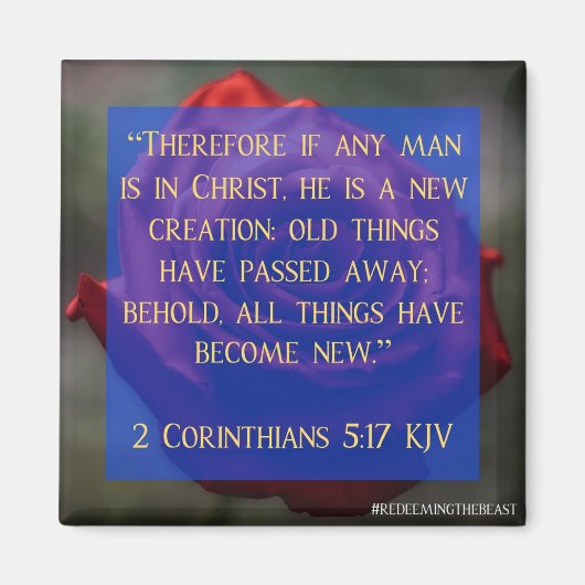 2コリント5:17獣の磁石を取り戻す マグネット (正面)