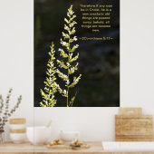 2コリント5:17 ポスター (キッチン)