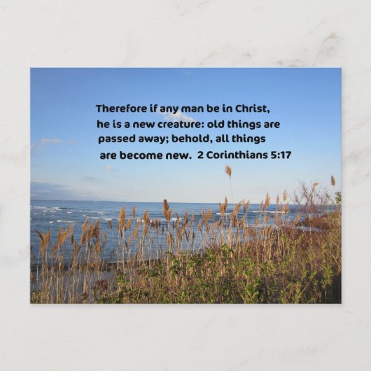 2コリント5:17 ポストカード (正面)