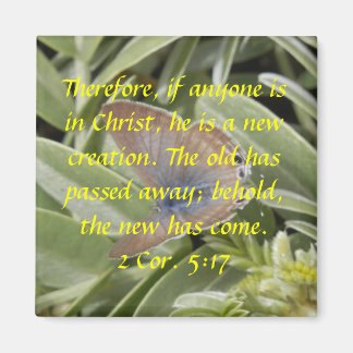 2コル。5:17バタフライマグネット マグネット