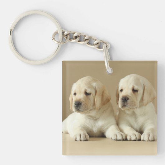 2ゴールデンラブラドール子犬 キーホルダー (正面)