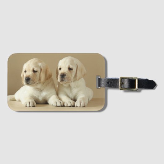 2ゴールデンラブラドール子犬 ラゲッジタグ (正面横)