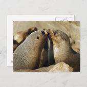 2シールキスをするはがき ポストカード (正面/裏面)