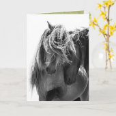 2セーブルアイランドスタリオンワイルドホースグリーティングカード カード (黄色い花)